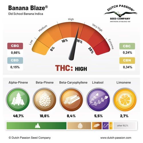 Banana Blaze®