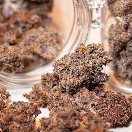 CBD Auto Blackberry Kush® image 5