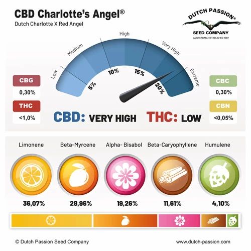 CBD Charlotte’s Angel®