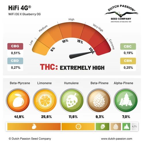 Hifi 4G®