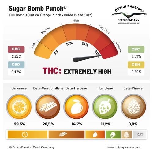 Sugar Bomb Punch®